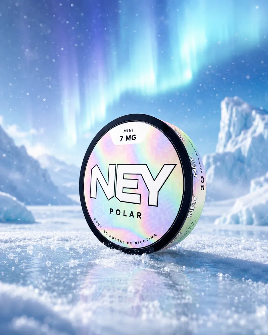 NEY POLAR bajo una aurora.
